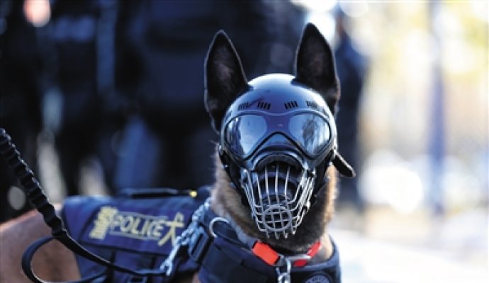 服務(wù)機(jī)器人有望取代手機(jī)成為下一代智能終端（無(wú)線充電）