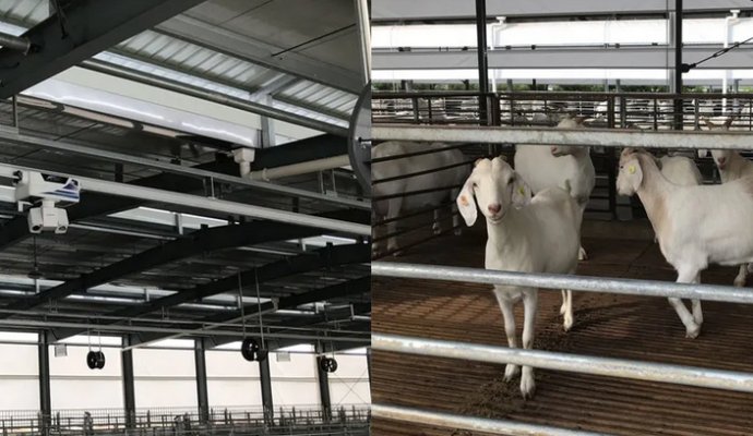 智慧生態(tài)養(yǎng)豬廠 智能軌道巡檢機器人（無線充電）