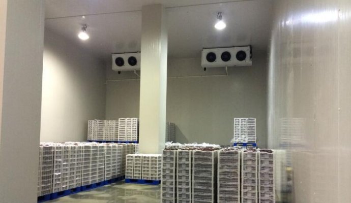 魯渝能源AGV無線充電系統(tǒng)在冷鏈冷庫運輸的新應用（無線充電）