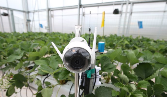 戶外軌道巡檢機(jī)器人無線充電技術(shù)助力畜牧業(yè)生產(chǎn)升級（無線充電）